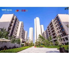 華陰泰鑫鋼構~河南翡麗公園項目迎來全面交付！